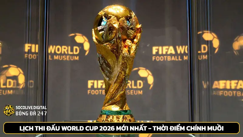 Lịch thi đấu World Cup 2026 mới nhất - Thời điểm chính muồi