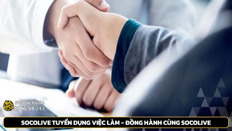 Socolive tuyển dụng việc làm - Đồng hành cùng Socolive